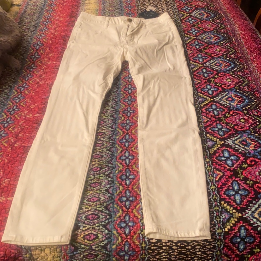 American Eagle Brand New Denim Jeans With Tags